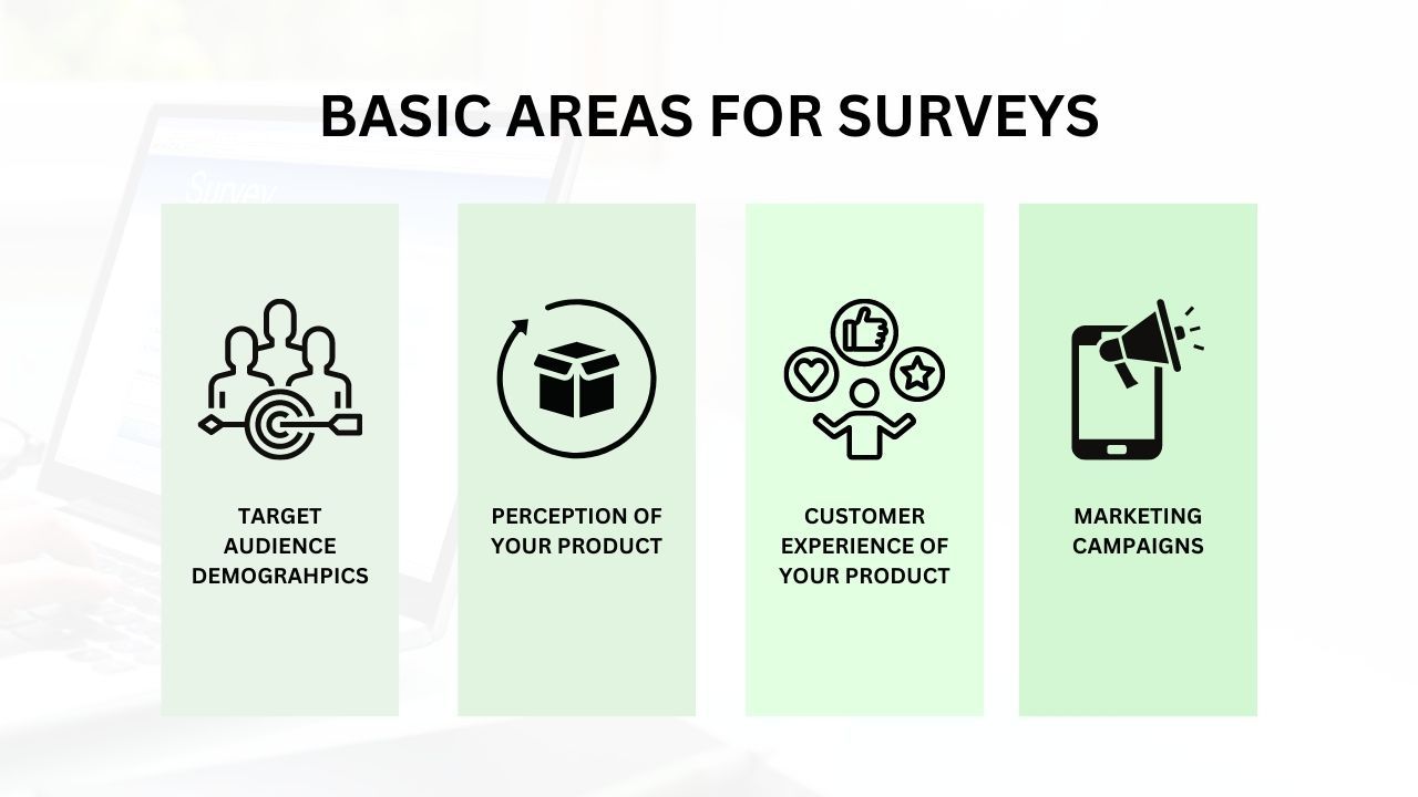 Infographic displaying basic areas for surveys